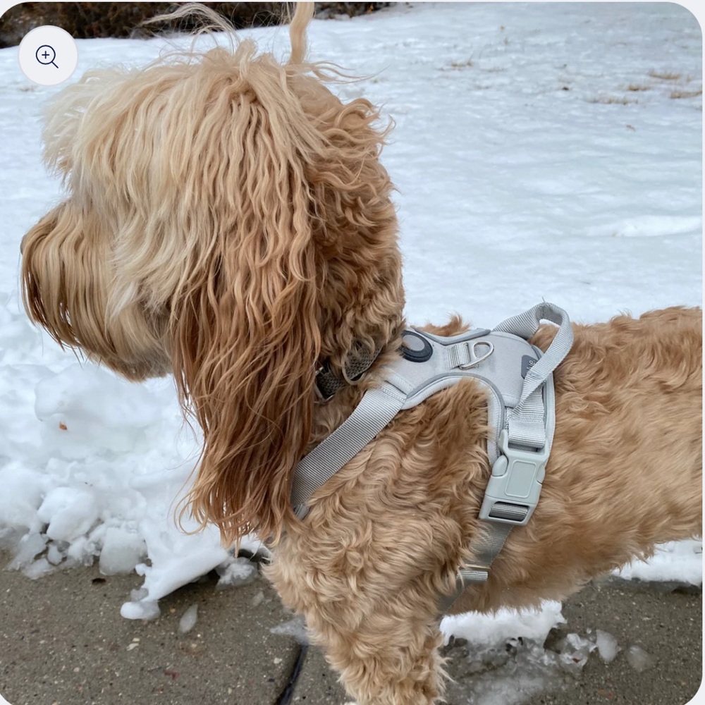 Adjustable Gray Dog Harness by Blue NWT